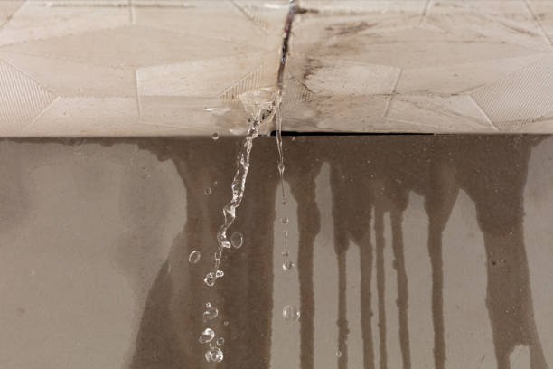 Professional Sewage Cleanup technician working in Woodlawn, VA